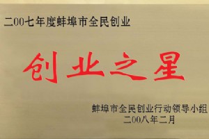 荣誉资质